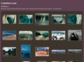 cshutter.com