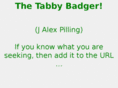 tabbybadger.com