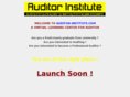auditor-institute.com