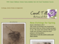 caroltill.com