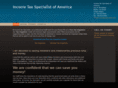 incometaxspecialist.com