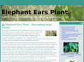 elephantearsplant.com