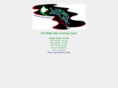 liquidwolfestudio.com