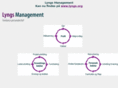 lyngs-management.dk