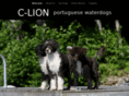 clionpwds.com