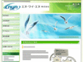 nyn-corp.com