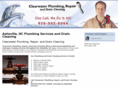 clearwaterplumbingandrepair.com