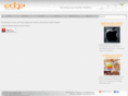 edge-effect.com