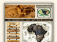 huntingsafarisa.com