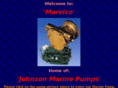 johnsonmarinepumps.com