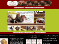 minichocolat.com