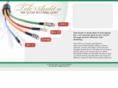 teleauditservice.biz