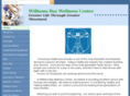 wmsbaychiro.com