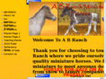 abranchminis.com