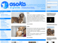 asokacastalla.org