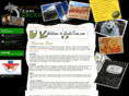 geckoteam.com