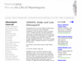 mannecam.com