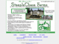 steeplechasefarmsok.com