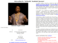 successfulacademics.com