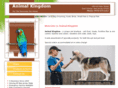animalkingdompets.com