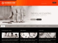 businessvein.com
