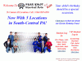 fearknot-martialarts.com