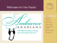 ambiancearabians.com