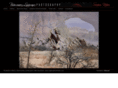backcountrylandscapes.com