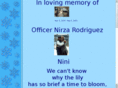 nirzita.com