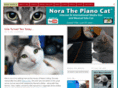 norathepianocat.com