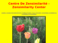 zensimilarity.com
