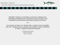 bluefishcapital.com