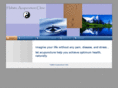 holisticacupunctureclinic.com