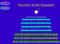 patriotsyouthbaseball.org