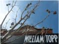 williamtopp.com