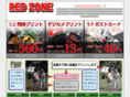 dpe-redzone.org