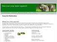 innersquirrel.com