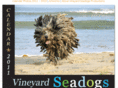 vineyardseadogs.com