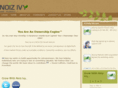 noizivy.com