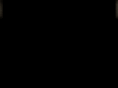 robynschon.com