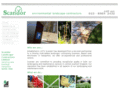 scandor.co.uk