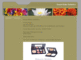 susanhaleyskincare.com