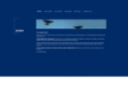 tandemllc.com