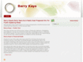 barrykayenewyork.com
