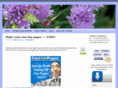 mikefinding-online.com