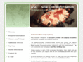 newcompanysetup.com