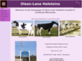 olsonlaneholsteins.com