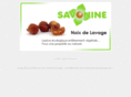 savonine.com