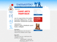 taekwondovilleneuve.com
