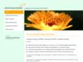 anneandenaes-method.com